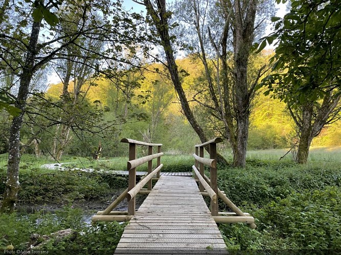 Nothomb_circuit caillebotis_AL_MT (2) - 1920-1280.JPG