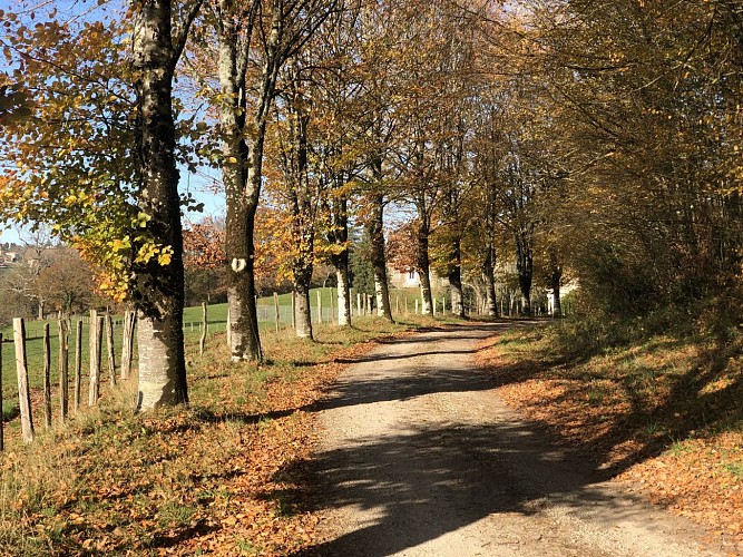 Chambre d'hôtes Château Les Villettes_10