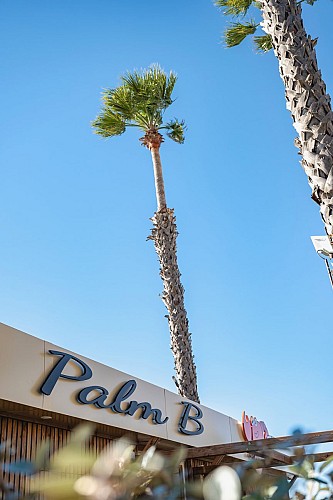 Palm B