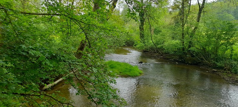 Gite Mobil home à Les Chapelles