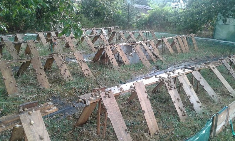 l'escargot de brousticot - st-Maurice-sur-l'Adour