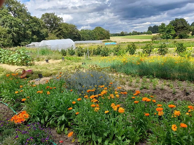 Ferme-Pensee-Sauvage-StBrice (2) (1)