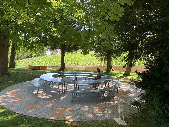 Jardins de vignes : Le Clos Saint Vincent au Mesnil-sur-Oger - Jardin des arômes