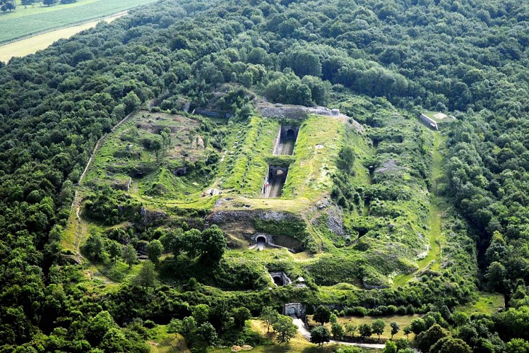 Photo aérienne du fort