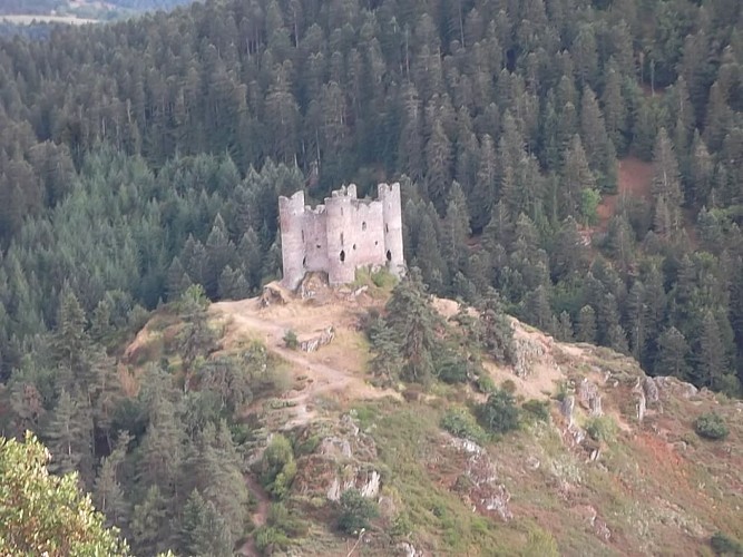 Ruines du château d'Alleuze