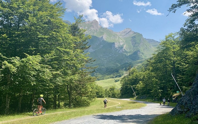 1440 trottinetteimage00019