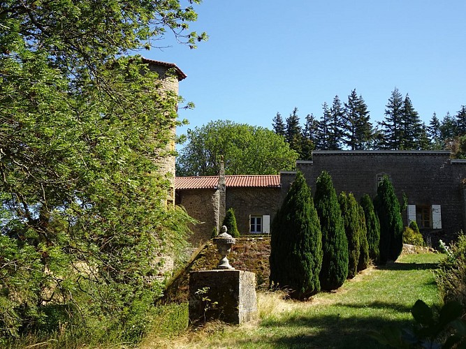 Image du poi