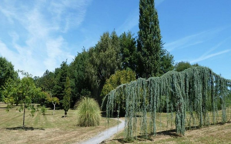 Serres-Castet Parc Liben (4)