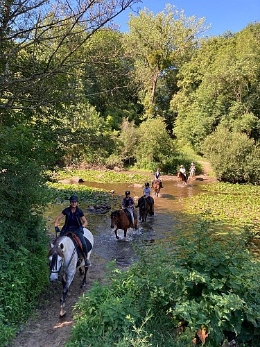 Centre équestre le Haras du Plessis