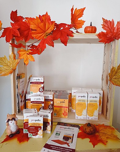 Apiculteur, Miellerie du Marais