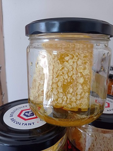 Apiculteur, Miellerie du Marais