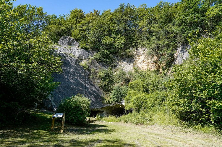 Les Falloises (site d'Escalade et parcours sportif) et Carrières souterraines de Vertus (Blancs-Coteaux)