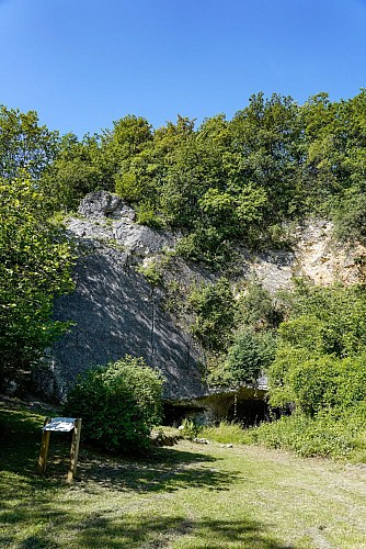 Les Falloises (site d'Escalade et parcours sportif) et Carrières souterraines de Vertus (Blancs-Coteaux)