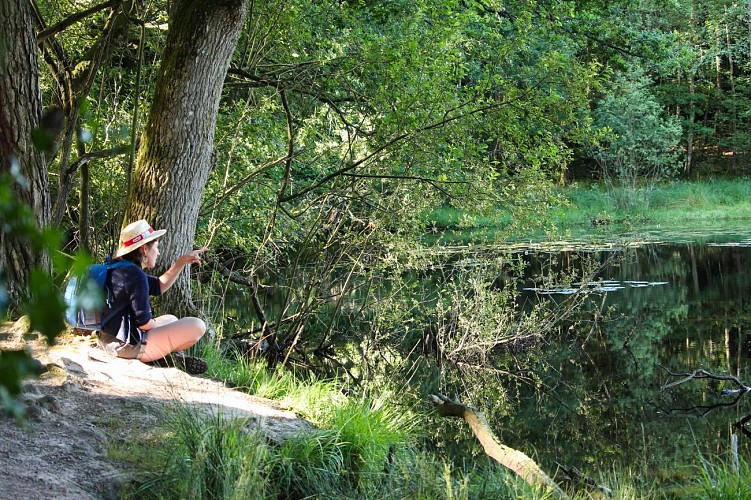 Etang de Carrouët TalenEtang de Carrouet Office de tourisme Montfort Communauté2