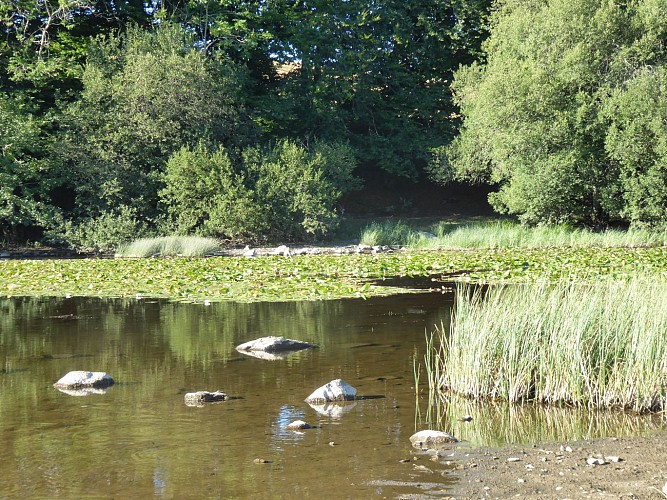 Le lac de La Crégut