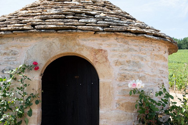 Vignoble et cadole Saules 14DD