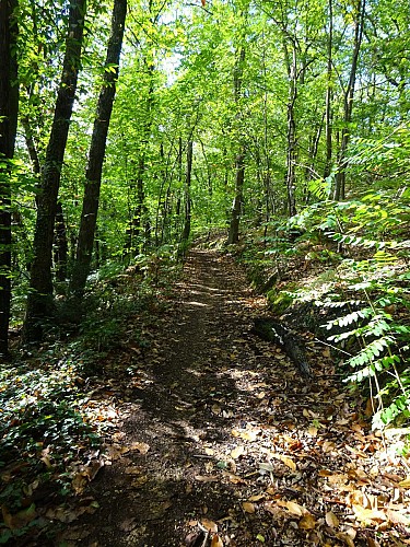 Domaine de Montéclin