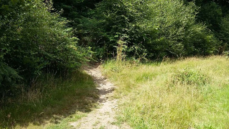 À gauche au débouché sur le champ.