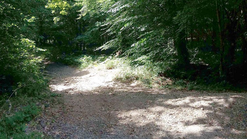 À gauche au débouché sur le champ.