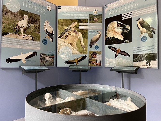 panneau infos oiseaux et table