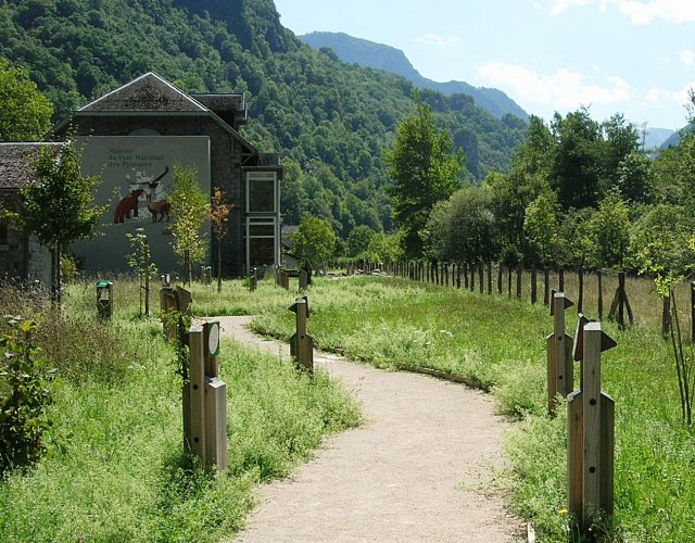 DSCN4878-3