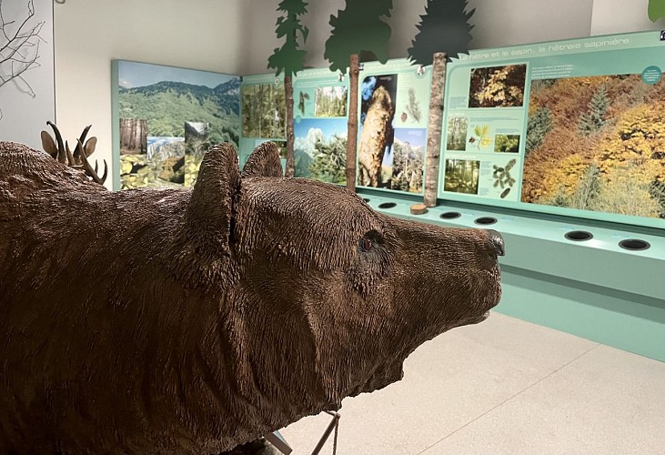 Infos et statue ours