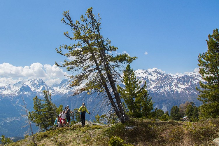 Jean-Yves Ployer - Accompagnateur en montagne