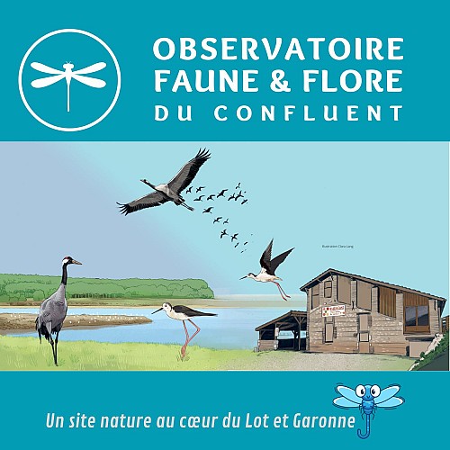 Observatoire faune et flore du Confluent Damazan