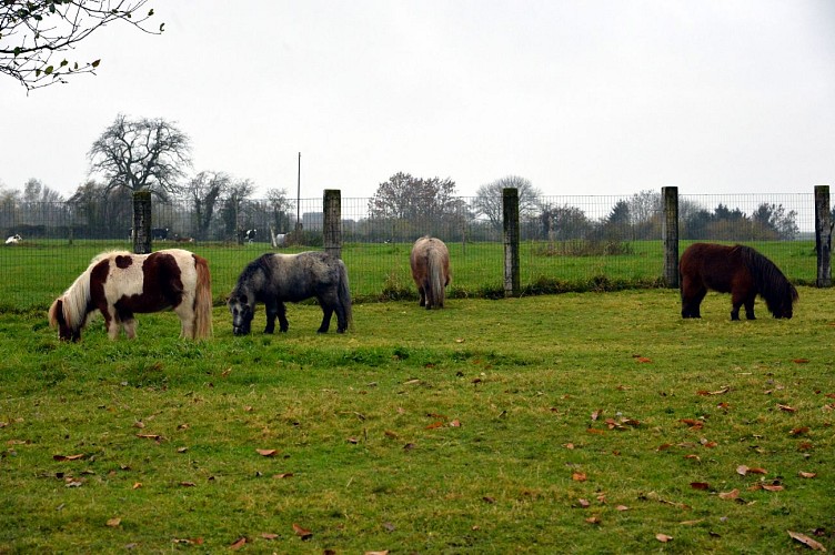 Chevémont extérieur 2