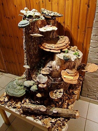 Gîte d'Etape - CRH - Entre Pierres et Riviêres