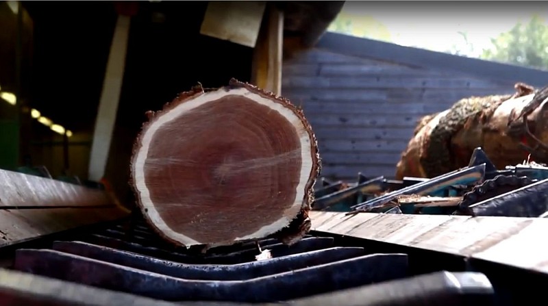 Charlois Groupe-Murlin