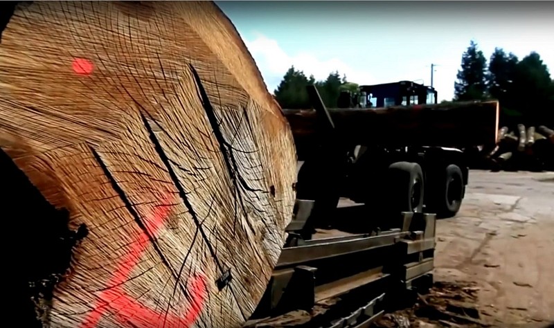 Charlois Groupe-Murlin