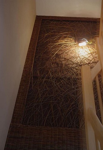 Vannerie - Pied sur cime