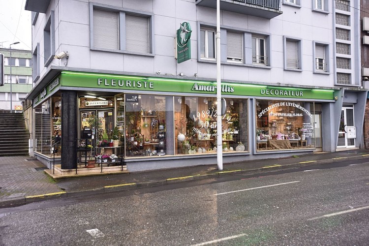 Fleuriste l'Amaryllis