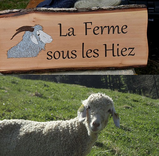 La Ferme sous les Hiez