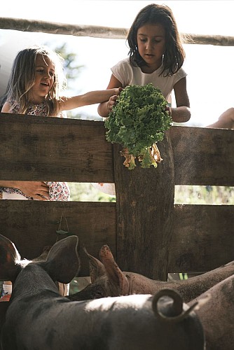 Ferme des rangs d'oignons - Tipi aménagé