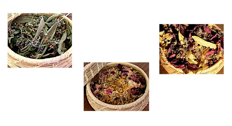 Plantes aromatiques et médicinales locales - Les Herbes d'Airmed