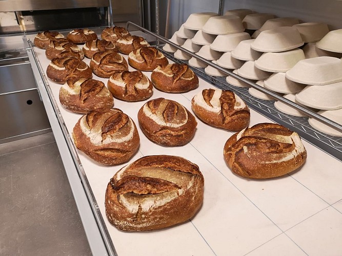 Un pain en avant - pains