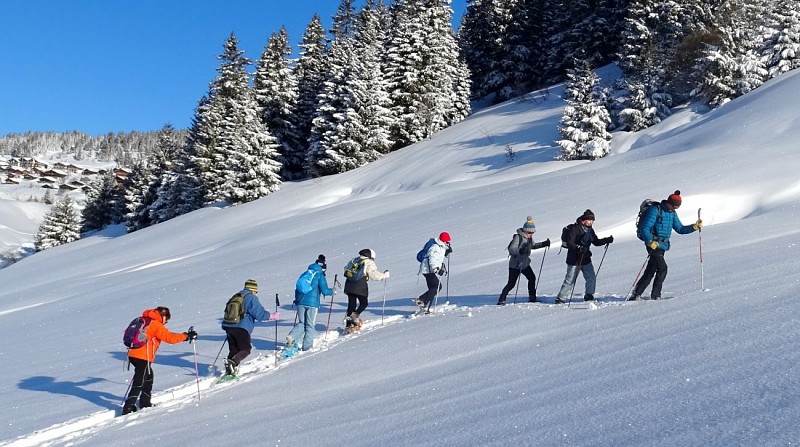 Bureau Montagne Artitude