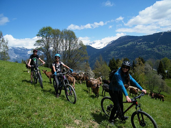 Virage Montagne - MTB instructor