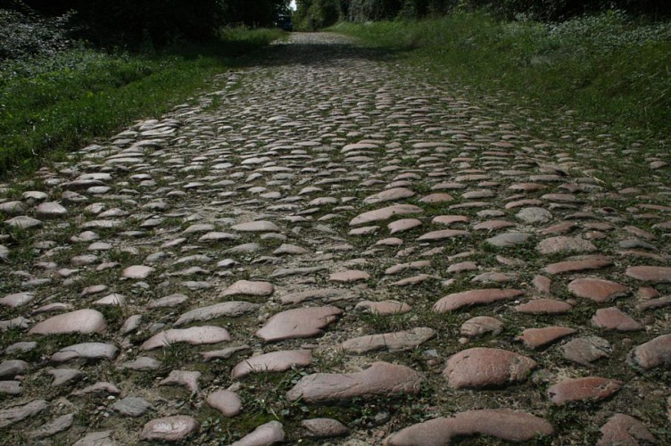 Les vieux pavés