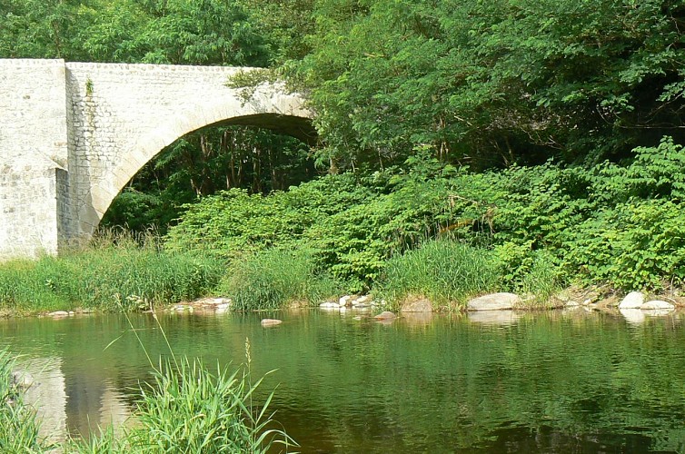 Königsbrücke