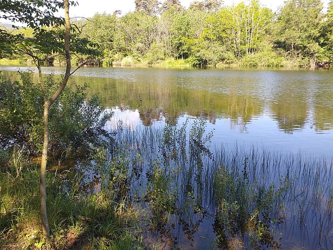 Lac des Meinettes