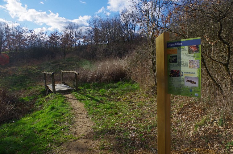 Lac des Meinettes