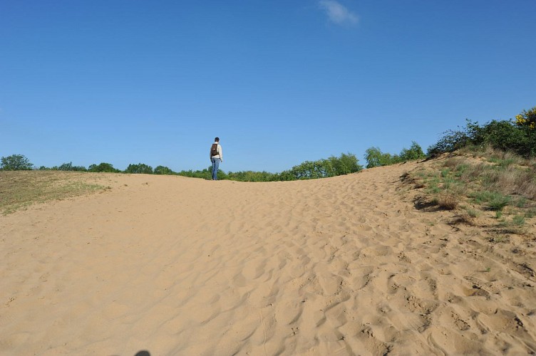 Sand dunes of "Les Charmes"