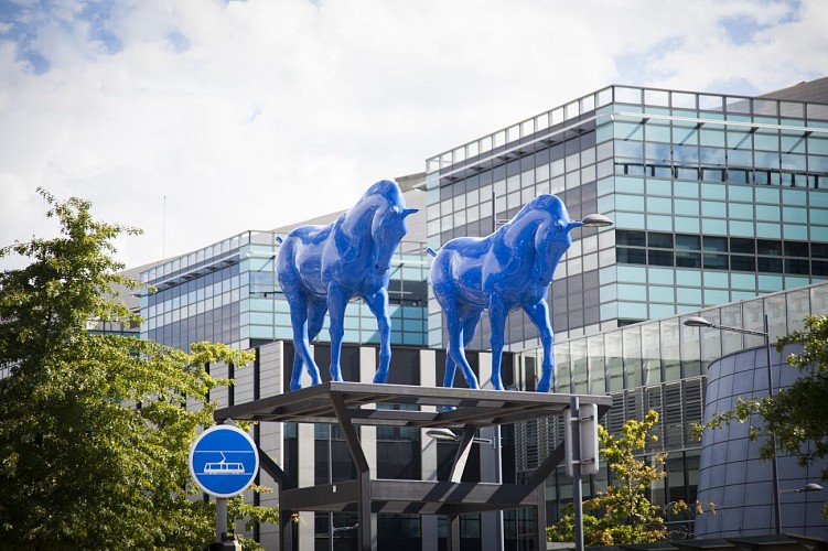 Chevaux bleus d’Assan Smati