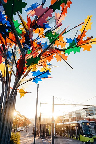 L'Arbre multi couleurs de Philippe Million