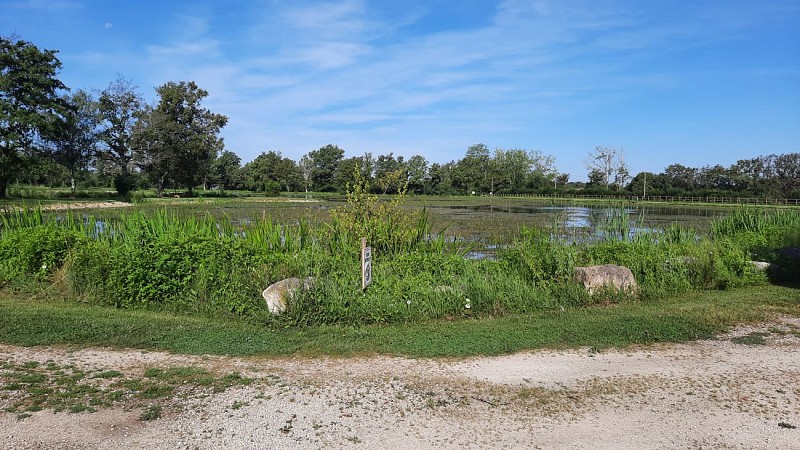 Camping Paradis des Dombes