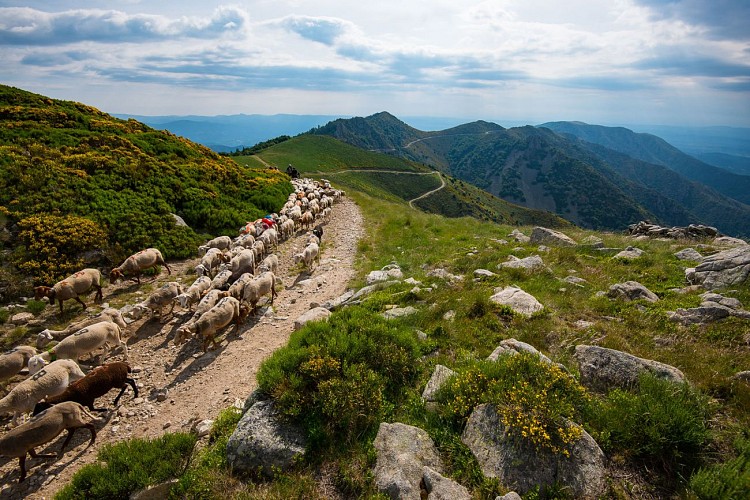 Tanargue Mountain Range