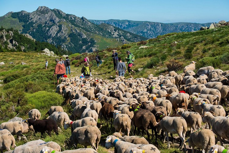 Tanargue Mountain Range